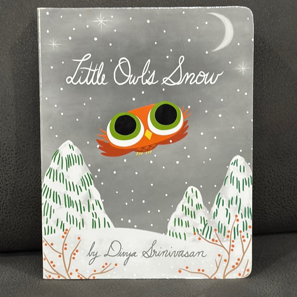 *All books 5/$15* Little Owl's Snow Book